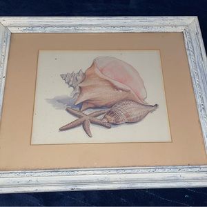 16.5” x 13.5” Framed Matted Seashell Nautical Art Conch Shell Starfish Tan White